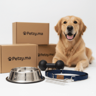 Accessoires pour Chiens
