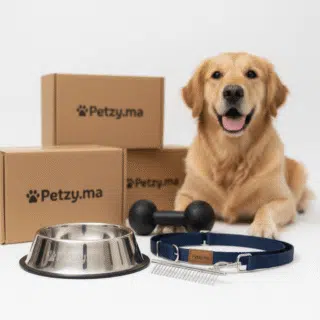 Accessoires pour Chiens