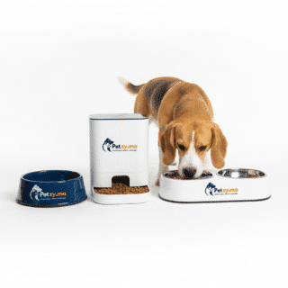 Gamelles & distributeurs pour Chiens