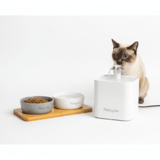 Gamelles & fontaines à eau pour Chats