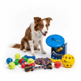Jouets & activités pour Chiens