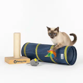Jouets et activités pour Chats
