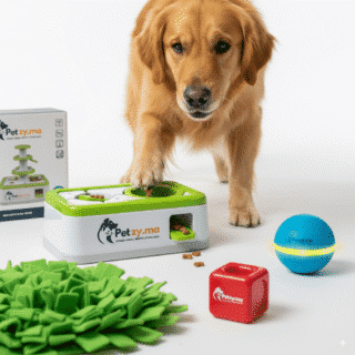 Jouets interactifs pour Chiens