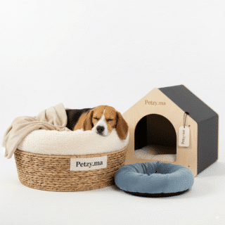 Niches & Paniers pour Chiens