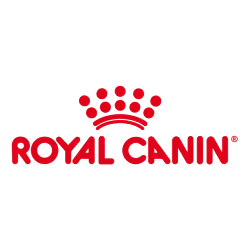 Royal Canin Maroc - Croquettes et nutrition féline et canine sur Petzy.ma