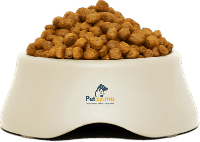 Gamelle de croquettes premium pour chat - Nutrition équilibrée Petzy.ma Maroc