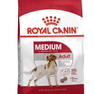 Medium Adult 1
