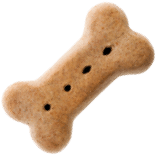 Friandise croquante forme d'os pour chien - Récompense premium Petzy.ma
