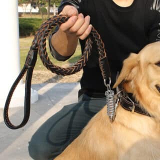 Laisse en Cuir Renforcé avec Ressort Amortisseur pour Grand Chien — Petzy.ma Maroc