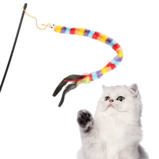 Canne à Pêche Arc-en-Ciel pour Chat - Jouet Chenille — Petzy.ma Maroc