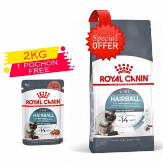 Royal Canin Hairball Care pour Chat - 2 kg + Pochon 85g Gratuit — Petzy.ma Maroc