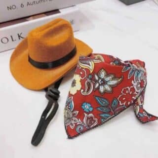 Ensemble Chapeau & Bandana de Cowboy pour Chat et Chien — Petzy.ma Maroc