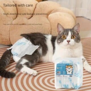 Ensemble de 10 Pièces de Couches pour Chat et Petit Chien — Petzy.ma Maroc