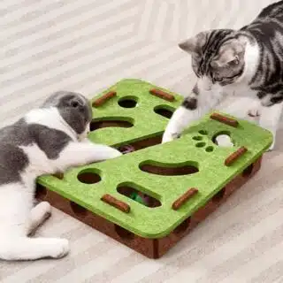 Centre d'Activités Interactif pour Chat - 10-en-1 — Petzy.ma Maroc