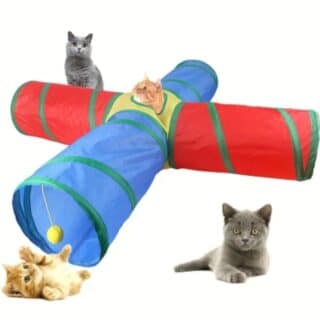 Tunnel de Jeu Interactif Pliable à 4 Voies pour Chat — Petzy.ma Maroc