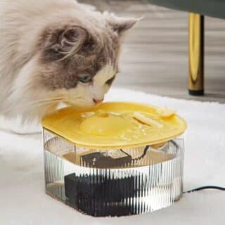 Fontaine d’Eau Automatique pour Animaux de Compagnie, 1.5L — Petzy.ma Maroc