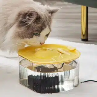 Fontaine d’Eau Automatique pour Animaux de Compagnie, 1.5L — Petzy.ma Maroc