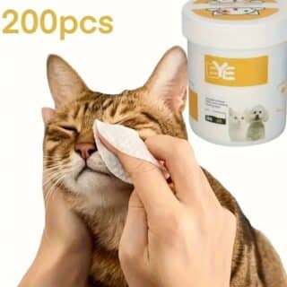 200 lingettes pour les yeux les chats et chiens — Petzy.ma Maroc