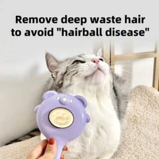 Brosse de Toilettage et Massage pour Chat en Forme d'Ours — Petzy.ma Maroc