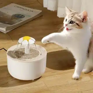 Fontaine à Eau USB pour Chat et Chien 1,5L – Eau Filtrée & Pompe Silencieuse — Petzy.ma Maroc