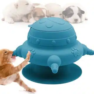 Station d'Allaitement Silicone pour Chatons et Petits Animaux - 4 Mamelles — Petzy.ma Maroc