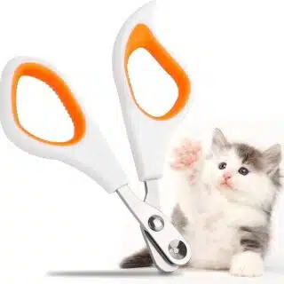 Coupe-Griffes Précis pour Chat et Chien - Toilettage Sûr — Petzy.ma Maroc