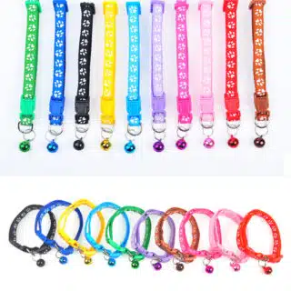 Animoo Collier Réglable avec Clochette pour Chat — Petzy.ma Maroc