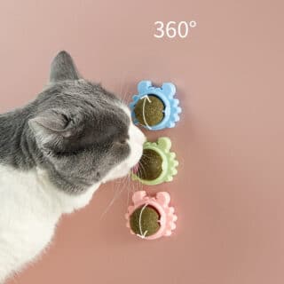 Boule d’Herbe à Chat Rotative 360° — Petzy.ma Maroc