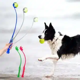 Lanceur de Balle pour Chiens - Jouet Catapulte Vert — Petzy.ma Maroc
