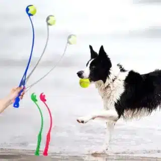 Lanceur de Balle pour Chien — Petzy.ma Maroc