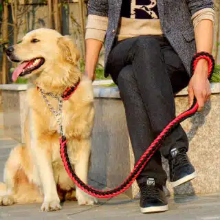 Laisse Robuste avec Collier Intégré pour Grand Chien — Petzy.ma Maroc