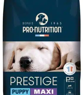 PRO-NUTRITION Croquettes Prestige Maxi puppy 3kg — Petzy.ma Maroc