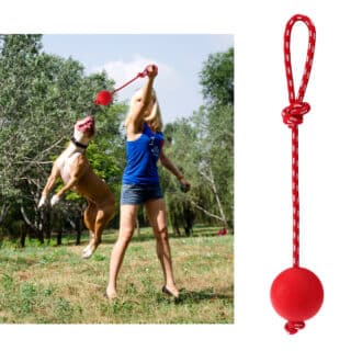 Lanceur de Balle en Caoutchouc Solide avec Corde pour Chien — Petzy.ma Maroc