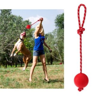 Lanceur de Balle en Caoutchouc avec Corde pour Chien — Petzy.ma Maroc