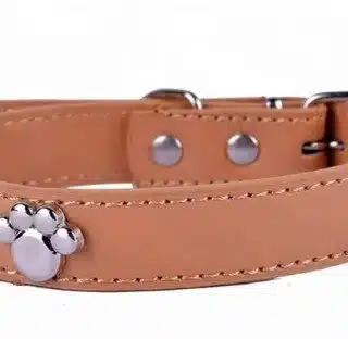 Collier Petzy.ma pour Petits Chiens et Chats - Marron — Petzy.ma Maroc