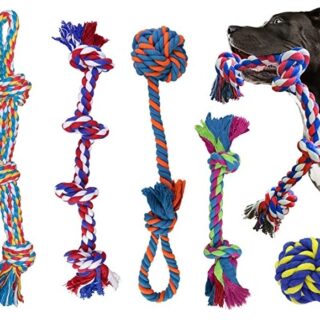 Animoo Corde Jouet Dentaire pour Chien avec Balle - Kit Complet — Petzy.ma Maroc
