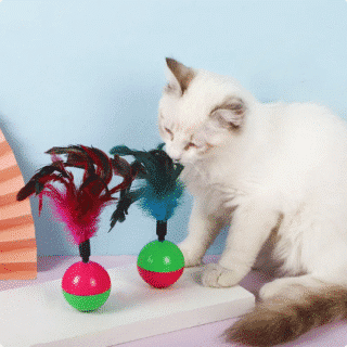 Balle Culbuto Interactive pour Chat avec Plume — Petzy.ma Maroc