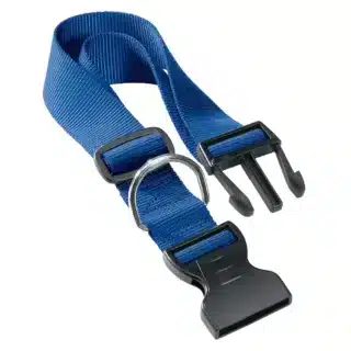 Collier pour Chien Ferplast en Nylon 18-25cm — Petzy.ma Maroc