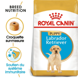 Royal Canin Chiot Labrador Retriever Junior 12 Kg — Petzy.ma Maroc