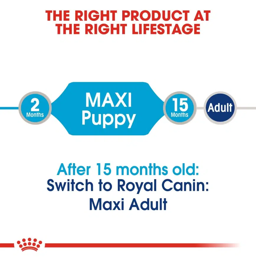 Royal Can Maxi Puppy 15 Kg — Petzy.ma Maroc