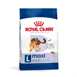 Royal Canin Maxi Adult 15 Kg | Croquettes Premium pour Chiens Adultes de Grande Taille (26-44 kg) | Santé A… — Petzy.ma Maroc