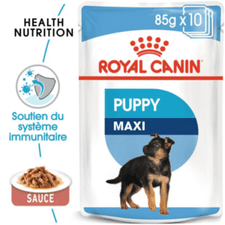 Royal Canin Maxi Puppy Sauce 140G – Nourriture Humide Complète pour Chiots de Grande Race — Petzy.ma Maroc