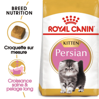 Royal Canin Persan Kitten - 2 Kg — Petzy.ma Maroc