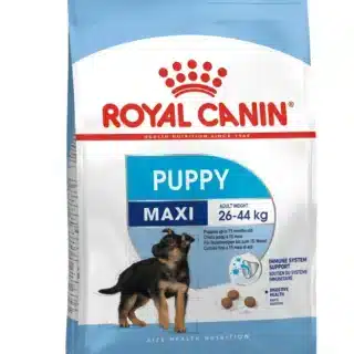 Royal Canin Maxi Puppy 15 Kg - Croissance et Développement des Chiots de Grande Taille — Petzy.ma Maroc