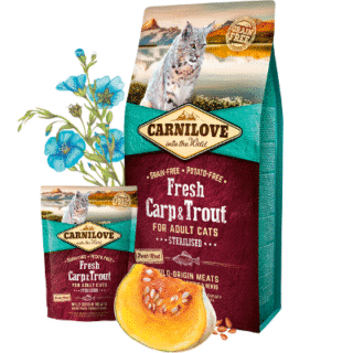 Carnilove Croquettes Chat Stérilisé - Carpe & Truite Fraîches — Petzy.ma Maroc