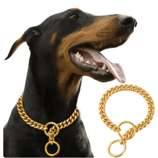 Collier Chaîne en Acier Inoxydable Doré pour Chien — Petzy.ma Maroc