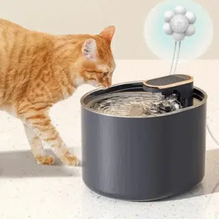 Fontaine d’eau électrique très silencieuse et élegante — Petzy.ma Maroc