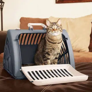 Animoo Cage de Transport Pliable 'Voyager' pour Chat & Petit Chien — Petzy.ma Maroc