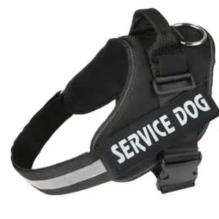 Harnais noir hyper confortable pour chien — Petzy.ma Maroc