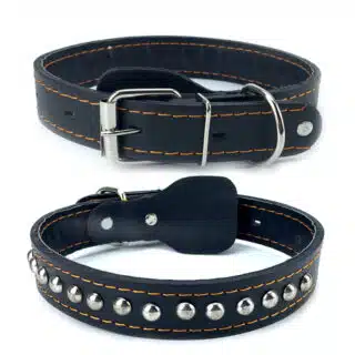 Collier pour Chien en Cuir Élégant avec Finition Inox — Petzy.ma Maroc